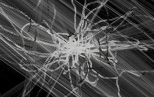 Abstract black and white web of shapes