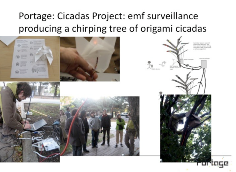 Images of the process of the Cicada project collaged together